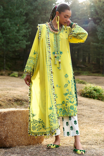 Zaha  Elaya (ZL25-10 B) Online Shopping